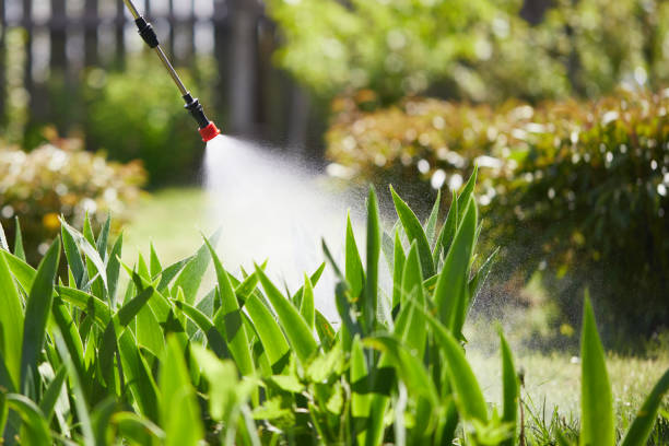 24/7 Emergency Mosquito Control experts in Soap Lake, WA
